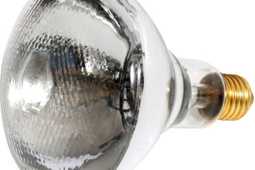 IR siltuma lampa 250W balta | Adexa HLWI01